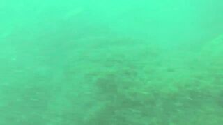 Геленджик, Толстый мыс - погружение на банку и рыбалка рядом