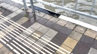 Агой по береговой рыбалке на набережной это рабочая тема