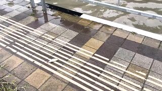 Агой по береговой рыбалке на набережной это рабочая тема