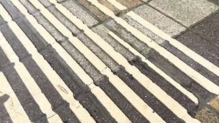 Агой по береговой рыбалке на набережной это рабочая тема