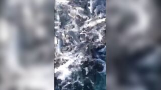 Анапская бухта, Краснодарский край рыба держится у стенок