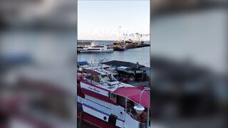 Анапская бухта, Краснодарский край рыба держится у стенок