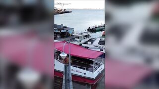 Анапская бухта, Краснодарский край рыба держится у стенок