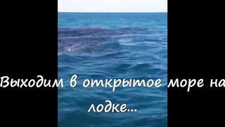 Анапская бухта, Краснодарский край рыба держится у стенок