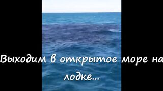 Анапская бухта, Краснодарский край рыба держится у стенок