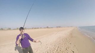 Благовещенская - сарган в Чёрном море у кромки прибоя