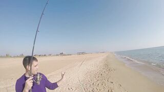 Благовещенская - сарган в Чёрном море у кромки прибоя