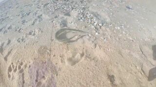 Благовещенская - сарган в Чёрном море у кромки прибоя