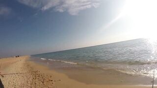 Благовещенская - сарган в Чёрном море у кромки прибоя