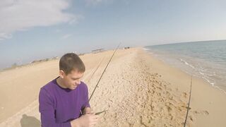 Благовещенская - сарган в Чёрном море у кромки прибоя