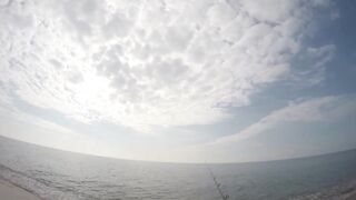 Благовещенская - сарган в Чёрном море у кромки прибоя