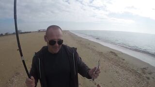 Благовещенская - сарган в Чёрном море у кромки прибоя