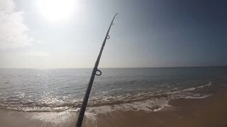 Благовещенская - сарган в Чёрном море у кромки прибоя