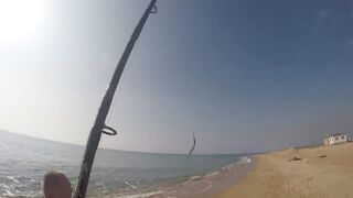 Благовещенская - сарган в Чёрном море у кромки прибоя