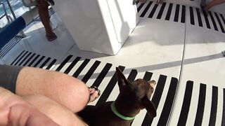 Бухта Инал: морская прогулка и рыбалка 17 августа 2018