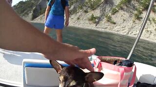 Бухта Инал: морская прогулка и рыбалка 17 августа 2018