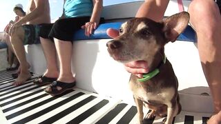 Бухта Инал: морская прогулка и рыбалка 17 августа 2018