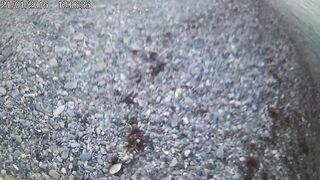 Бухта Инал, Чёрное море рыбалка с берега без суеты