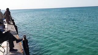 Джемете пирс и рыбалка с него 12.10.2018