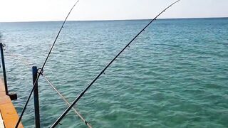 Джемете пирс и рыбалка с него 12.10.2018