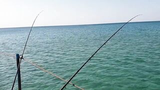 Джемете пирс и рыбалка с него 12.10.2018