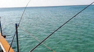 Джемете пирс и рыбалка с него 12.10.2018