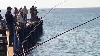 Джемете пирс и рыбалка с него 12.10.2018