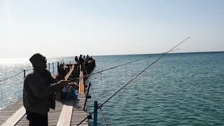 Джемете пирс и рыбалка с него 12.10.2018