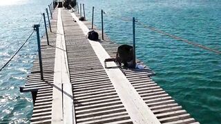 Джемете пирс и рыбалка с него 12.10.2018