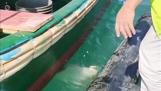 Ловля ската: морская рыбалка в Санья, на острове Хайнань, Китай
