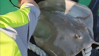Ловля ската: морская рыбалка в Санья, на острове Хайнань, Китай