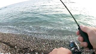 Небуг: горбыль у пляжа и прибрежный рокфишинг