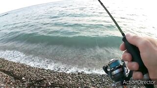 Небуг: горбыль у пляжа и прибрежный рокфишинг