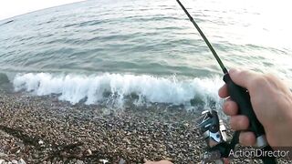 Небуг: горбыль у пляжа и прибрежный рокфишинг