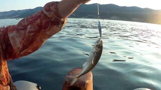 Новороссийск, Чёрное море 13.07.2019 как ловили и где