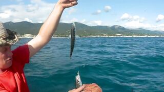 Новороссийск, Чёрное море 13.07.2019 как ловили и где