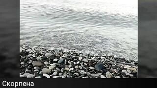 Ольгинка где ловить и на что ставить акцент