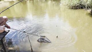 Голубинка, Бахчисарай - отдых и рыбалка на реке