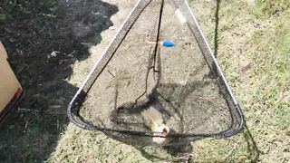 Голубинка, Бахчисарай - отдых и рыбалка на реке