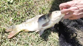 Голубинка, Бахчисарай - отдых и рыбалка на реке