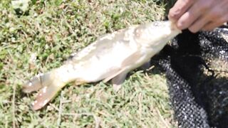 Голубинка, Бахчисарай - отдых и рыбалка на реке