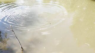 Голубинка, Бахчисарай - отдых и рыбалка на реке