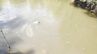 Голубинка, Бахчисарай - отдых и рыбалка на реке