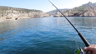 Балаклава - спокойная рыбалка у набережной и выход к свалу