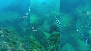 Новый Свет, Крым подводная охота у скаловых окон