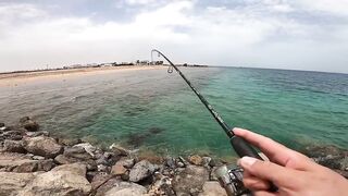 Рыбалка в Хургаде с берега - ловля кальмаров у отеля New Eagles Aqua Park Resort