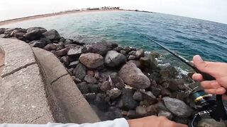Рыбалка в Хургаде с берега - ловля кальмаров у отеля New Eagles Aqua Park Resort