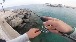 Рыбалка в Хургаде с берега - ловля кальмаров у отеля New Eagles Aqua Park Resort