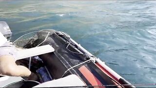 Партенит, Крым. Карась в сентябре у берега