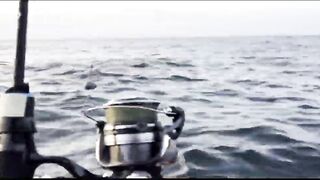 Партенит, Крым. Карась в сентябре у берега